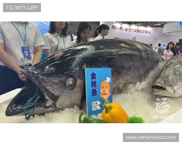 博鱼官网在线登录支持多设备同步登录，随时随地畅享游戏乐趣